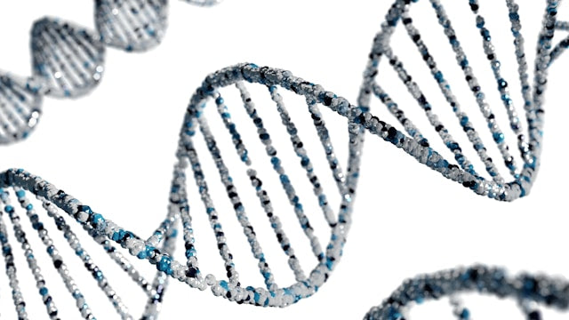 Sirtuin Activators: Diet, Supplements, and Lifestyle Strategies for Longevity