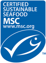 the msc logo