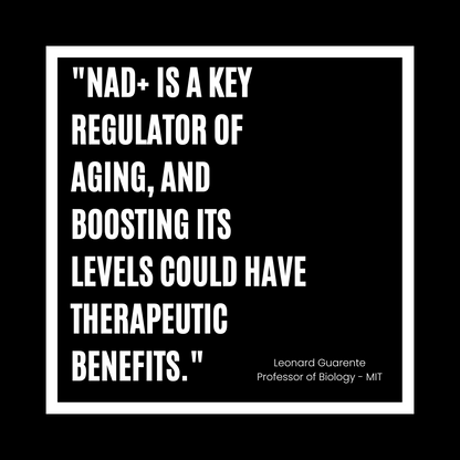 a quote from Leonard Guarente about NMN supplementation 